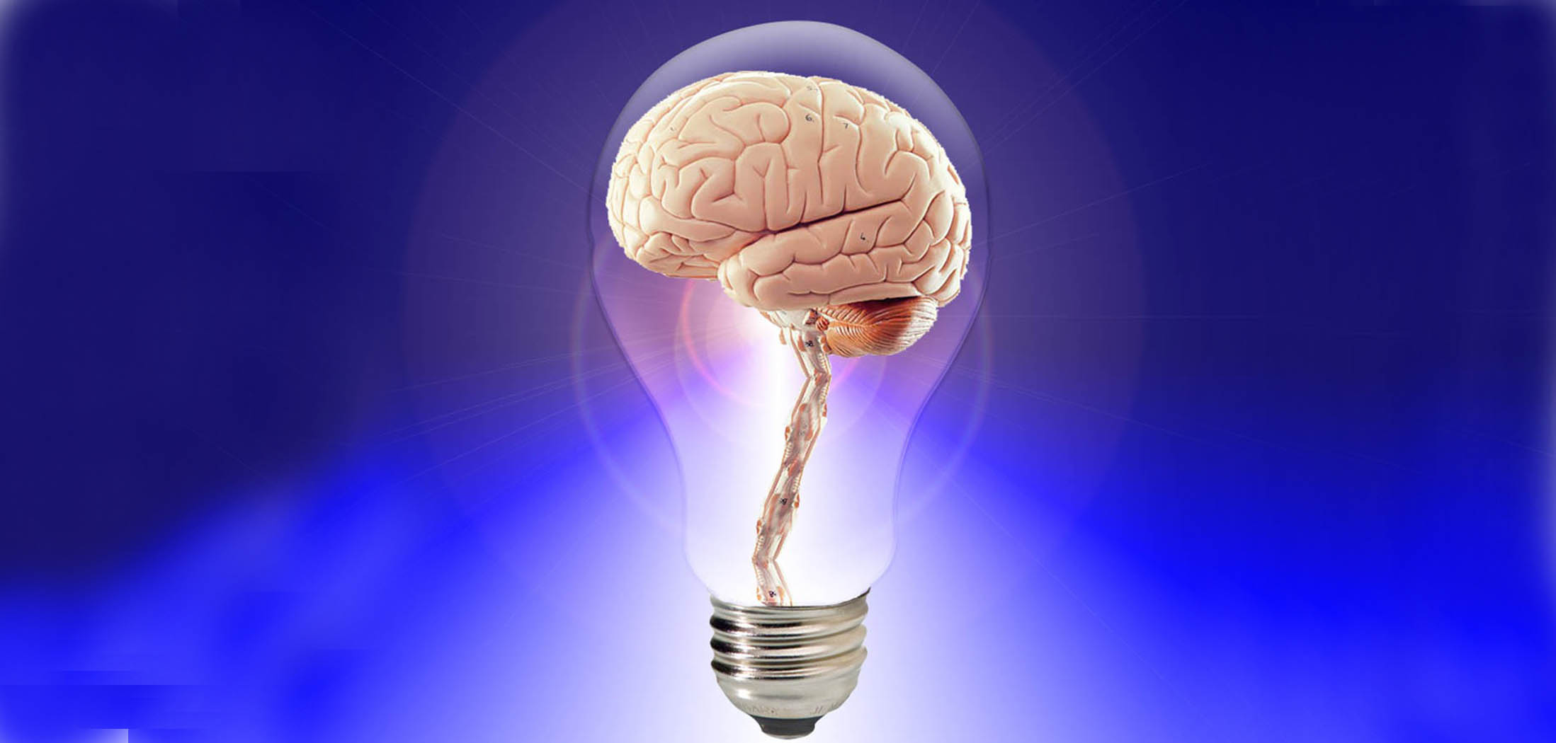 brain lightbulb